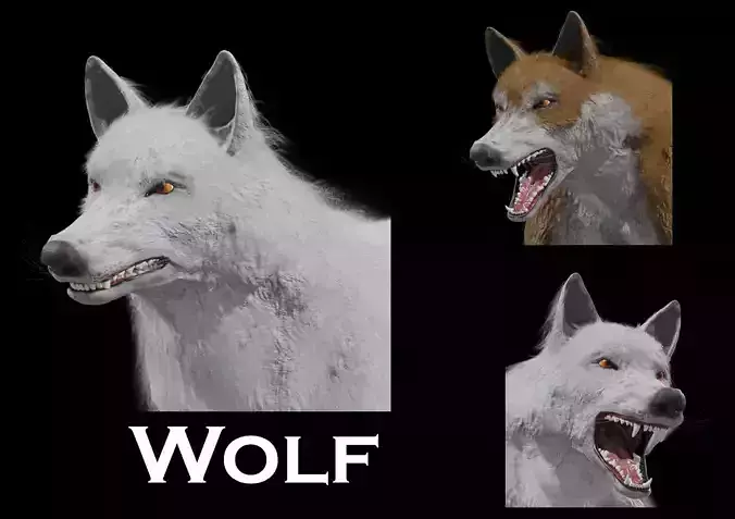 Wolf Rigged Animated Low-poly 3D model