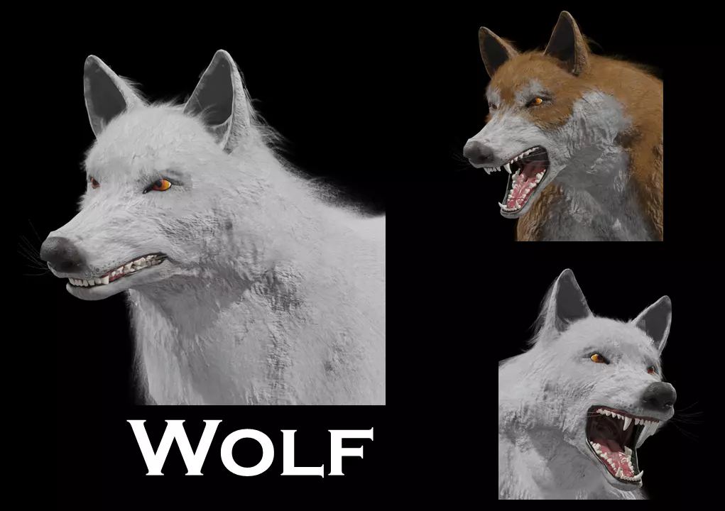 Wolf Rigged Animated Low-poly 3D model_0