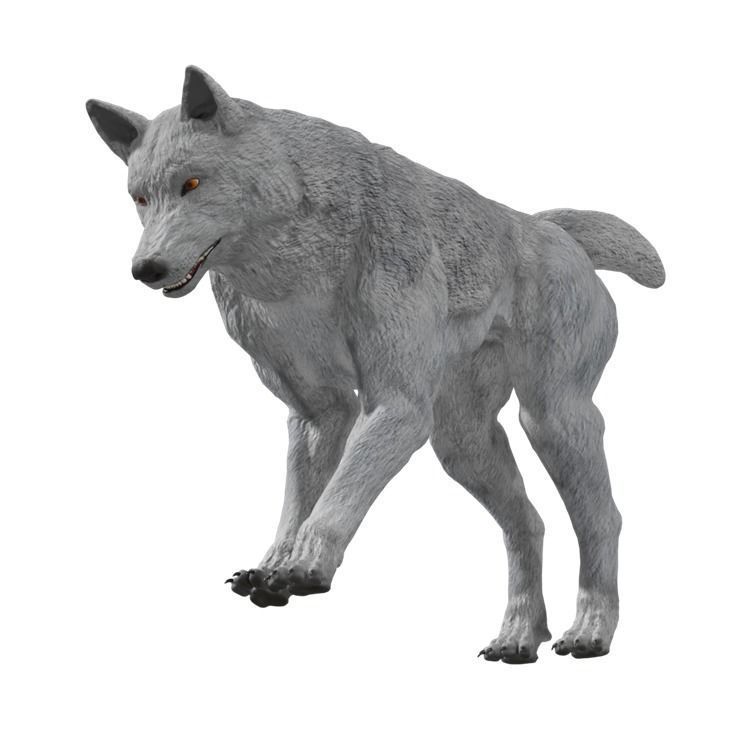 Wolf Rigged Animated Low-poly 3D model_13