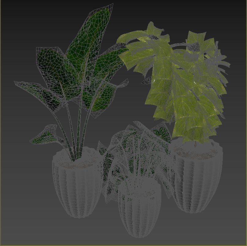 Plant Collection Rpm 08 3D model_4