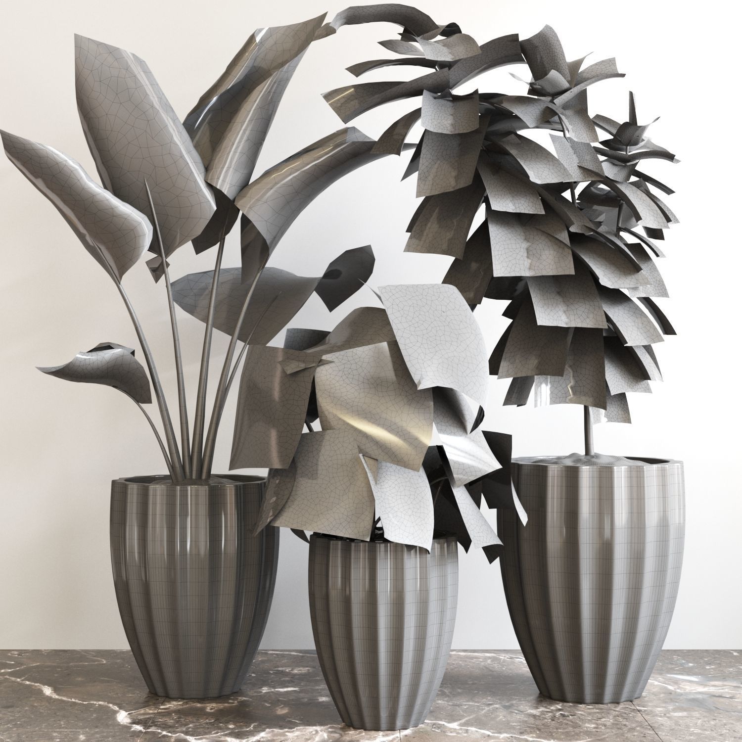 Plant Collection Rpm 08 3D model_1