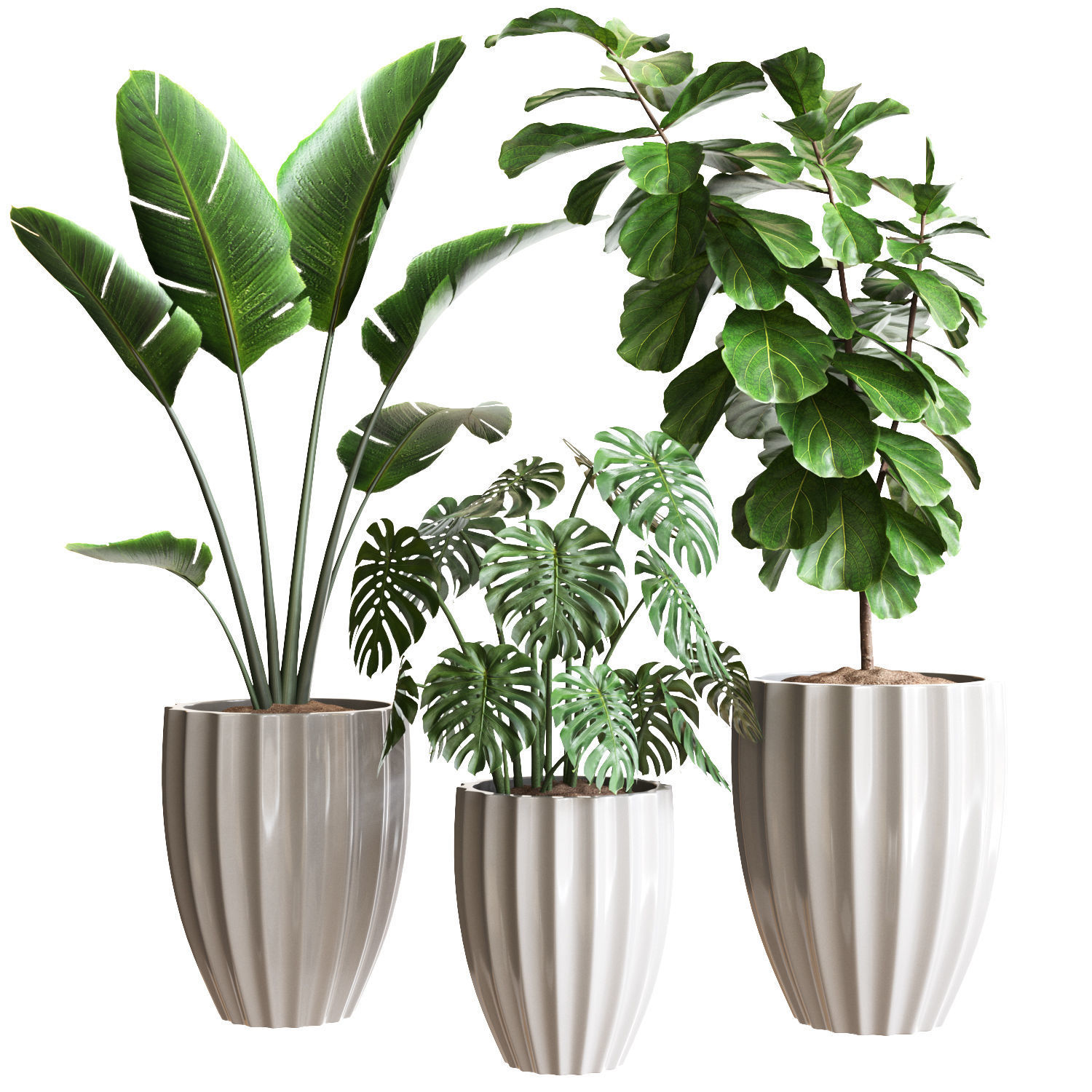 Plant Collection Rpm 08 3D model_2