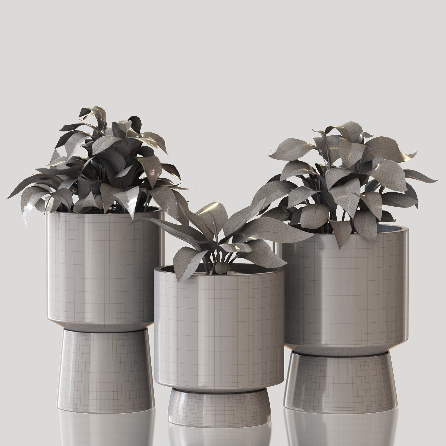 Red Aglaonema 01 3D model_3