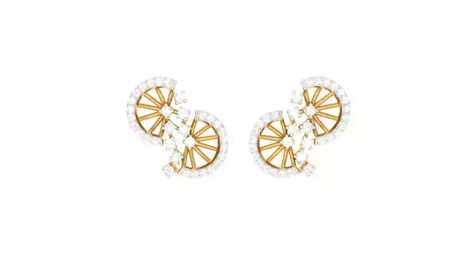 Studs Earrings - 24