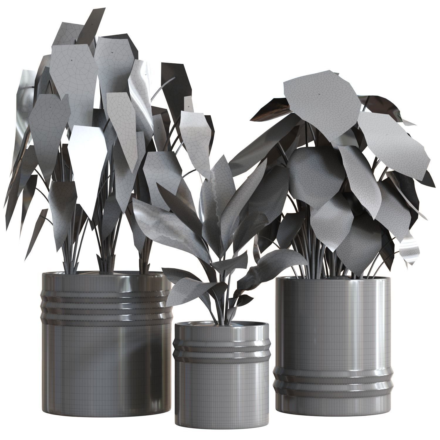 Red Aglaonema 02 3D model_1