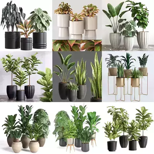 Plant Collection Vol 02 