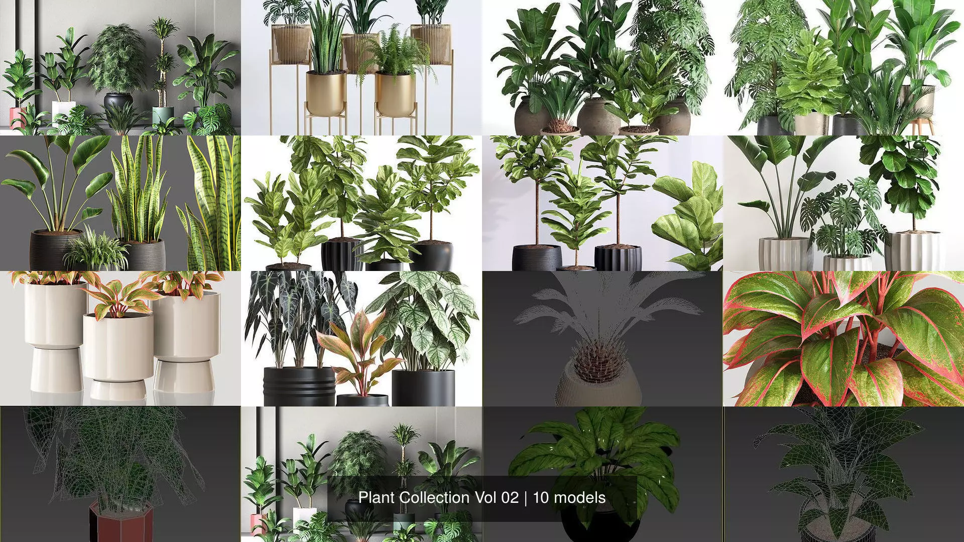 Plant Collection Vol 02 _1