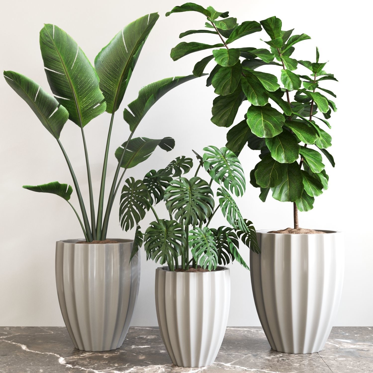 Plant Collection Vol 02 _7