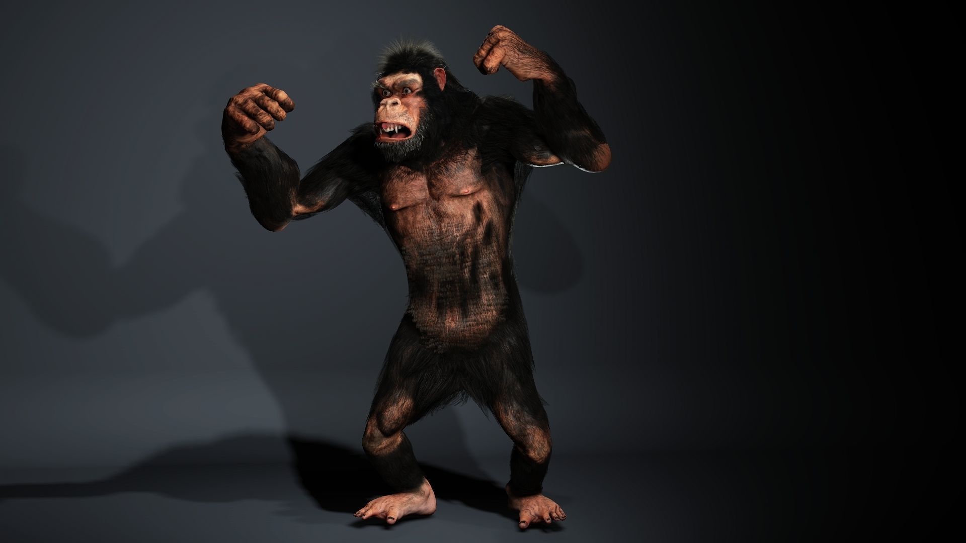 King Kong High quality character full Rigged and Animated 3D model_8