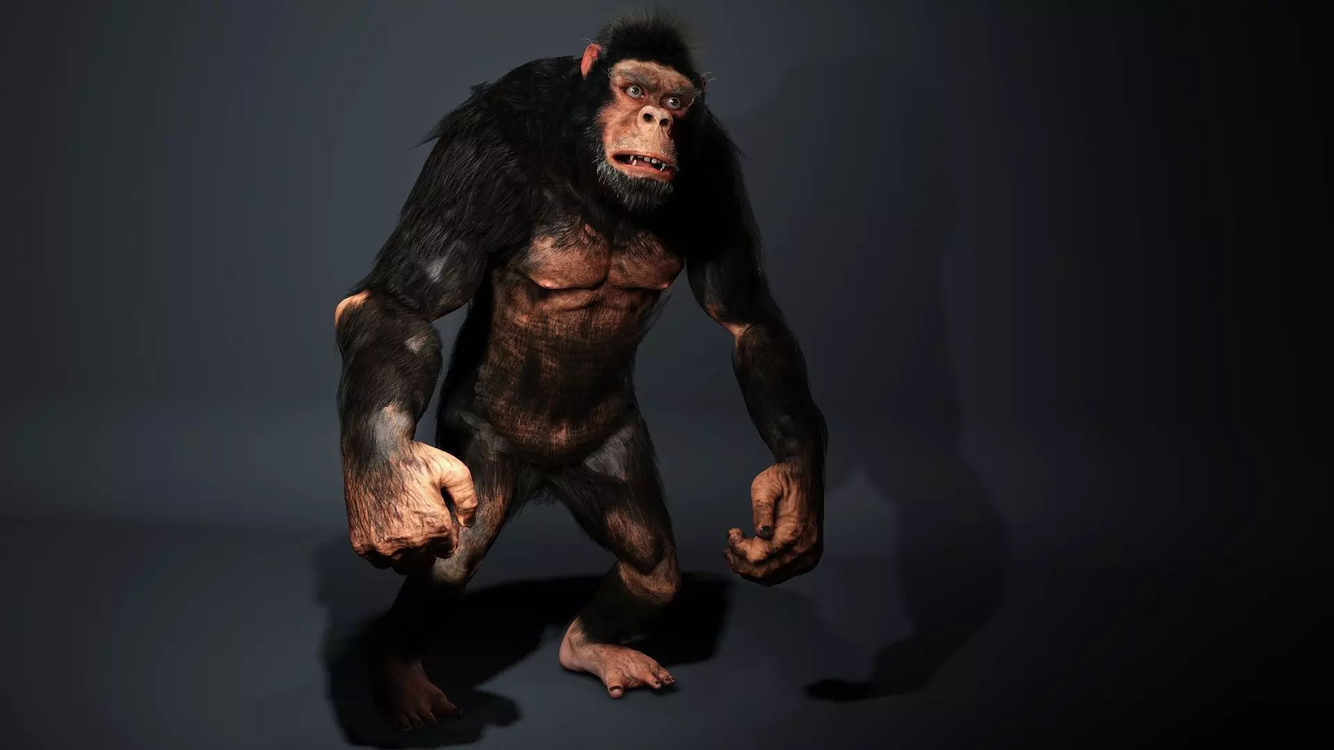 King Kong High quality character full Rigged and Animated 3D model_0