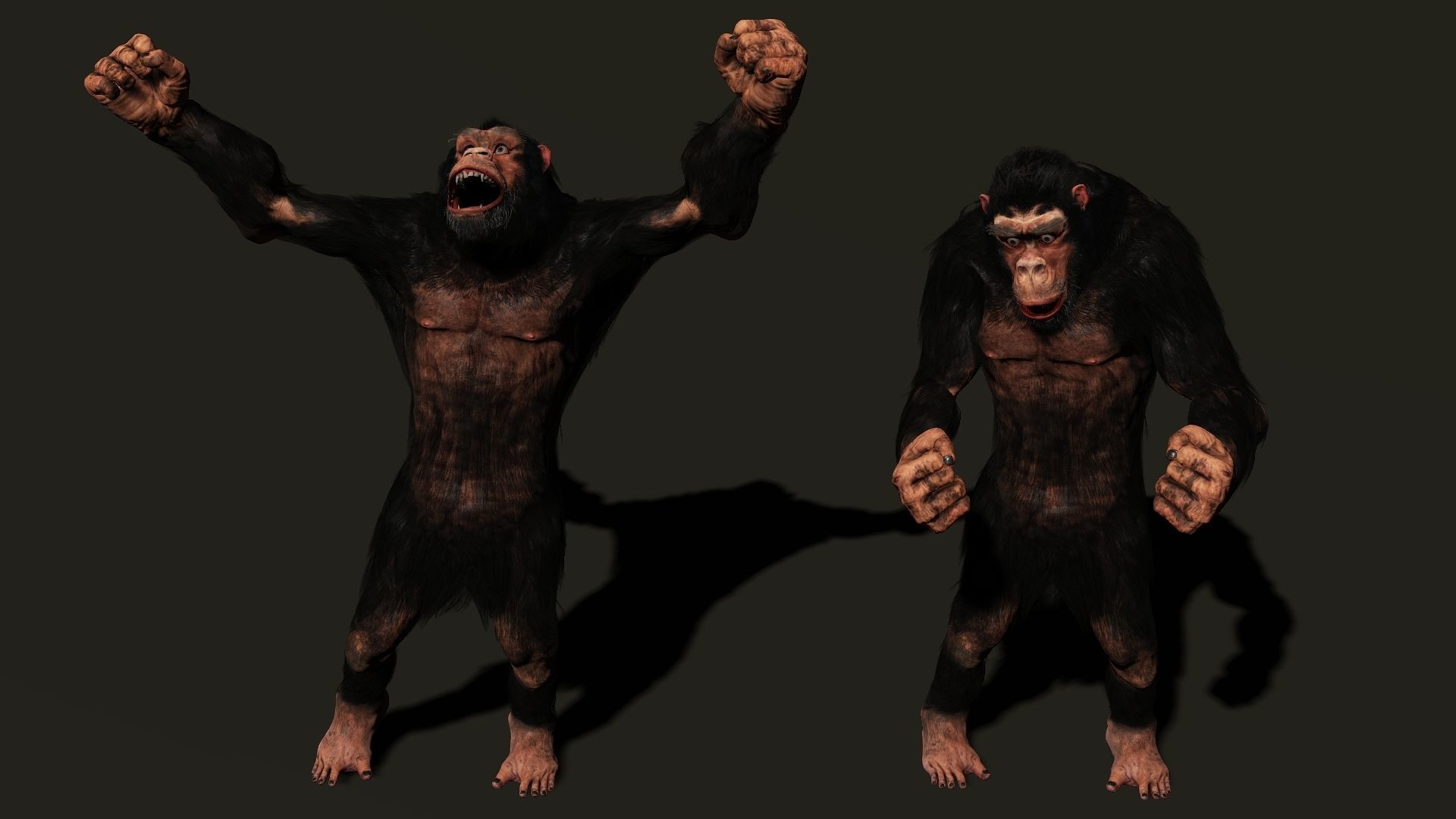 King Kong High quality character full Rigged and Animated 3D model_10