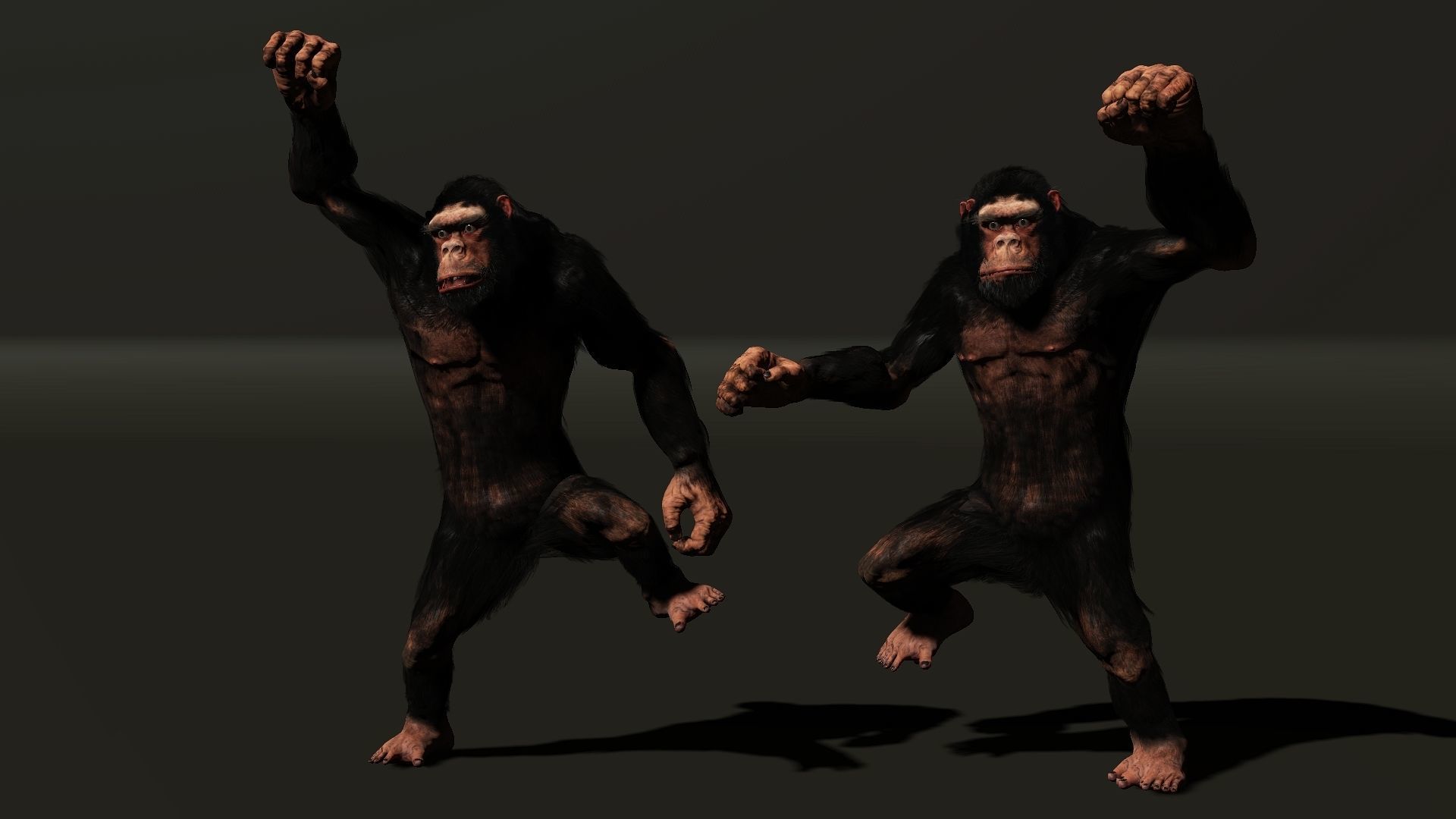 King Kong High quality character full Rigged and Animated 3D model_12