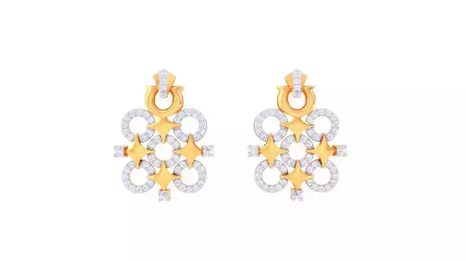 Studs Earrings - 19