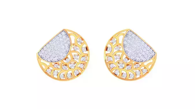 Studs Earrings - 24