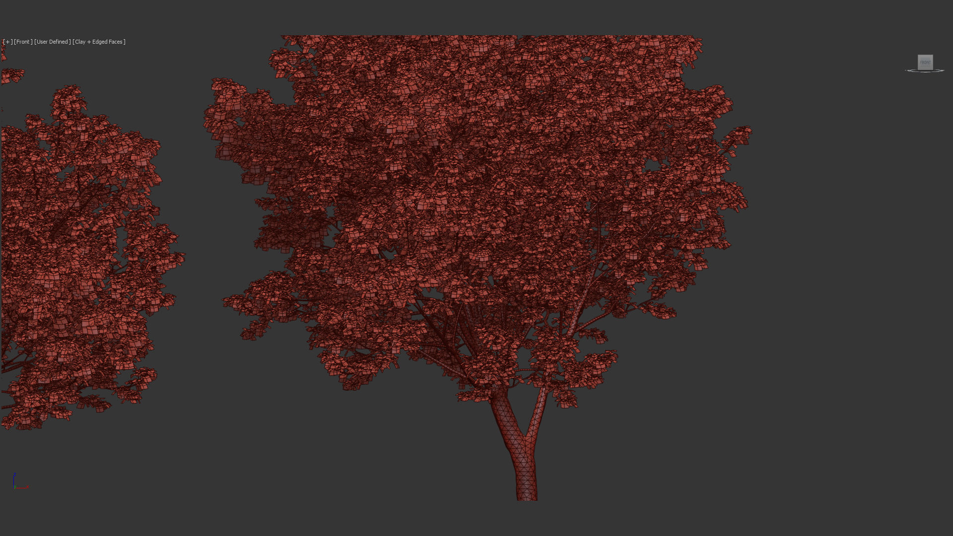 Platanus occidentalis American sycamore 3D model_11