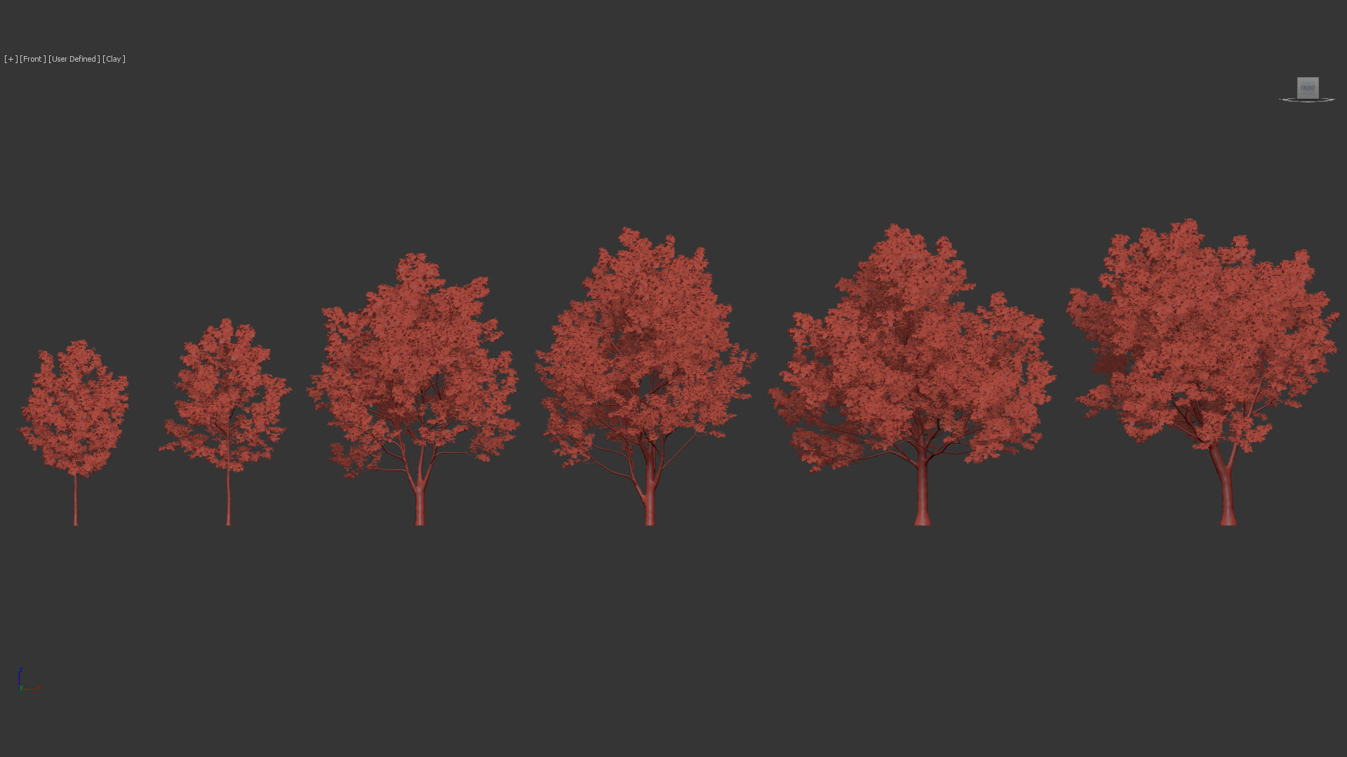 Platanus occidentalis American sycamore 3D model_9