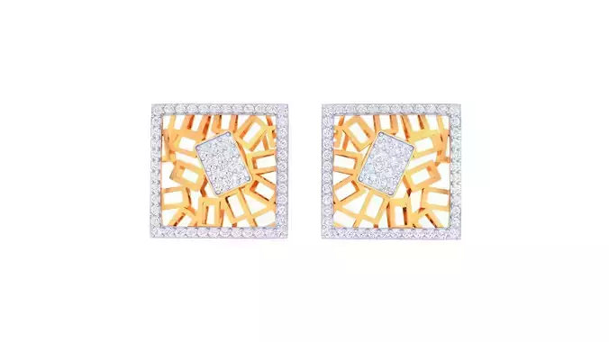 Studs Earrings - 44