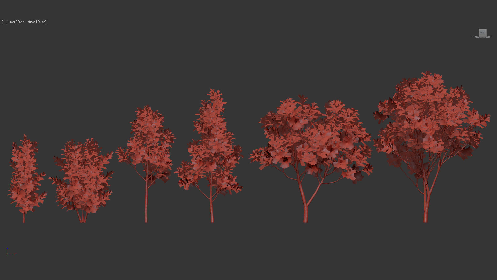 Ficus lyrata Fiddle Leaf Fig 3D model_9