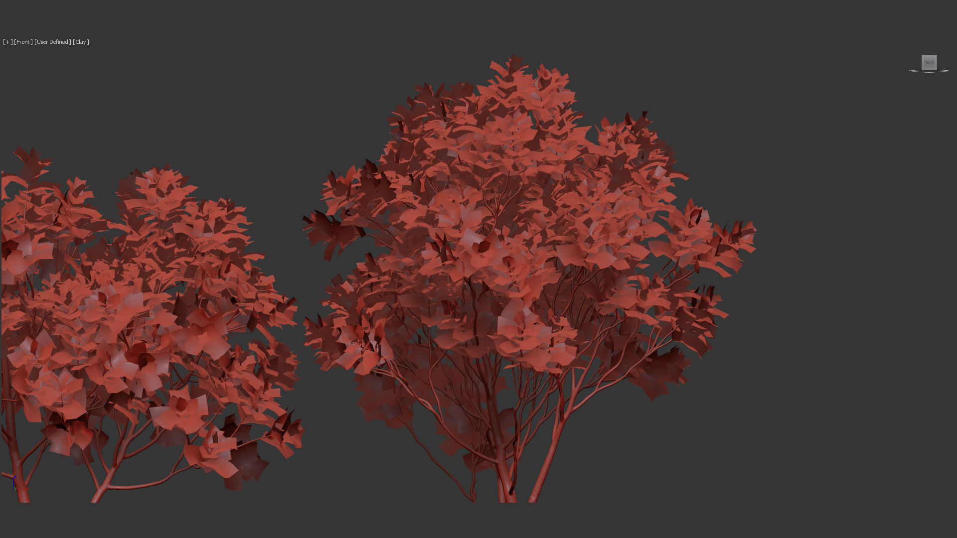 Ficus lyrata Fiddle Leaf Fig 3D model_12