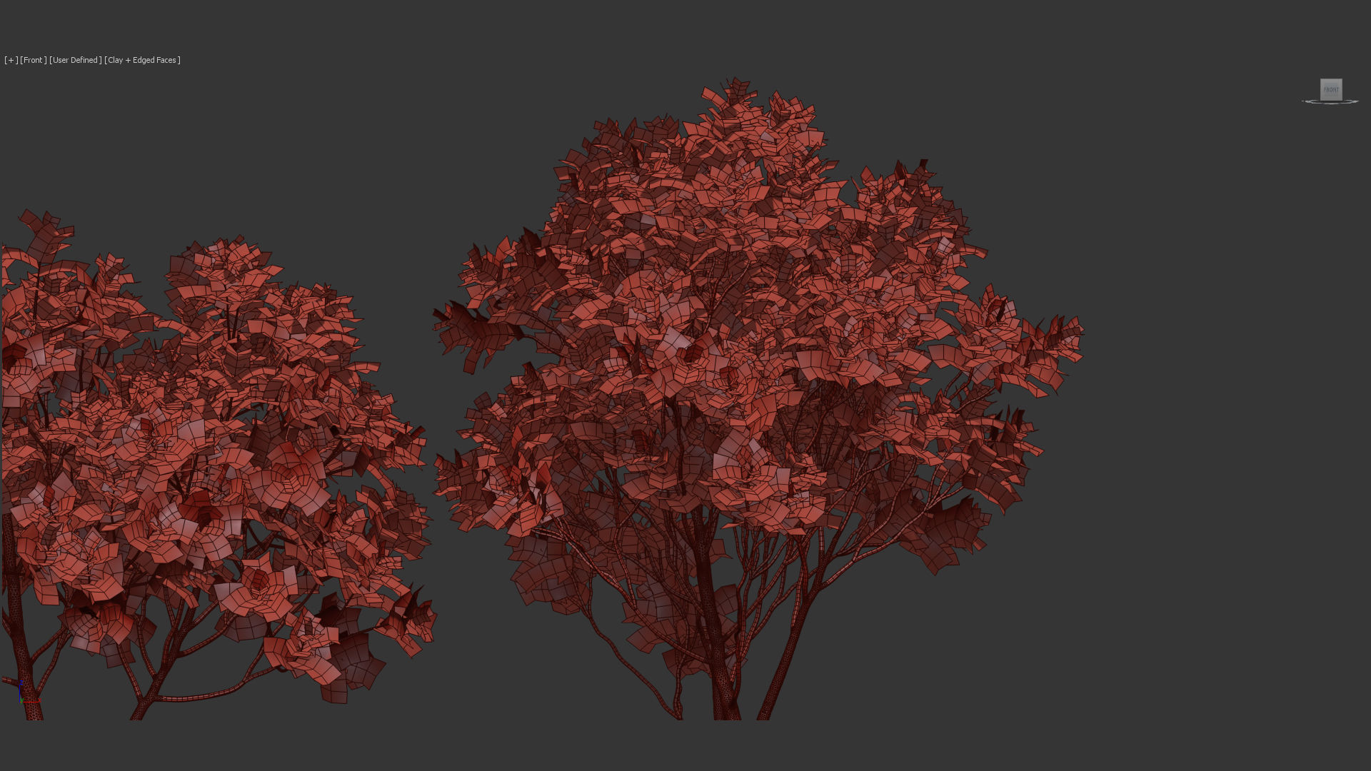 Ficus lyrata Fiddle Leaf Fig 3D model_11