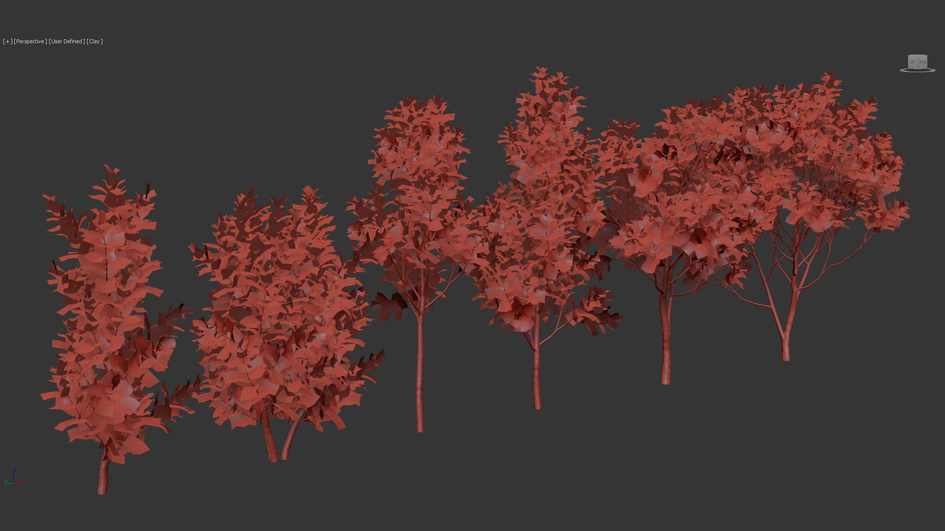 Ficus lyrata Fiddle Leaf Fig 3D model_13