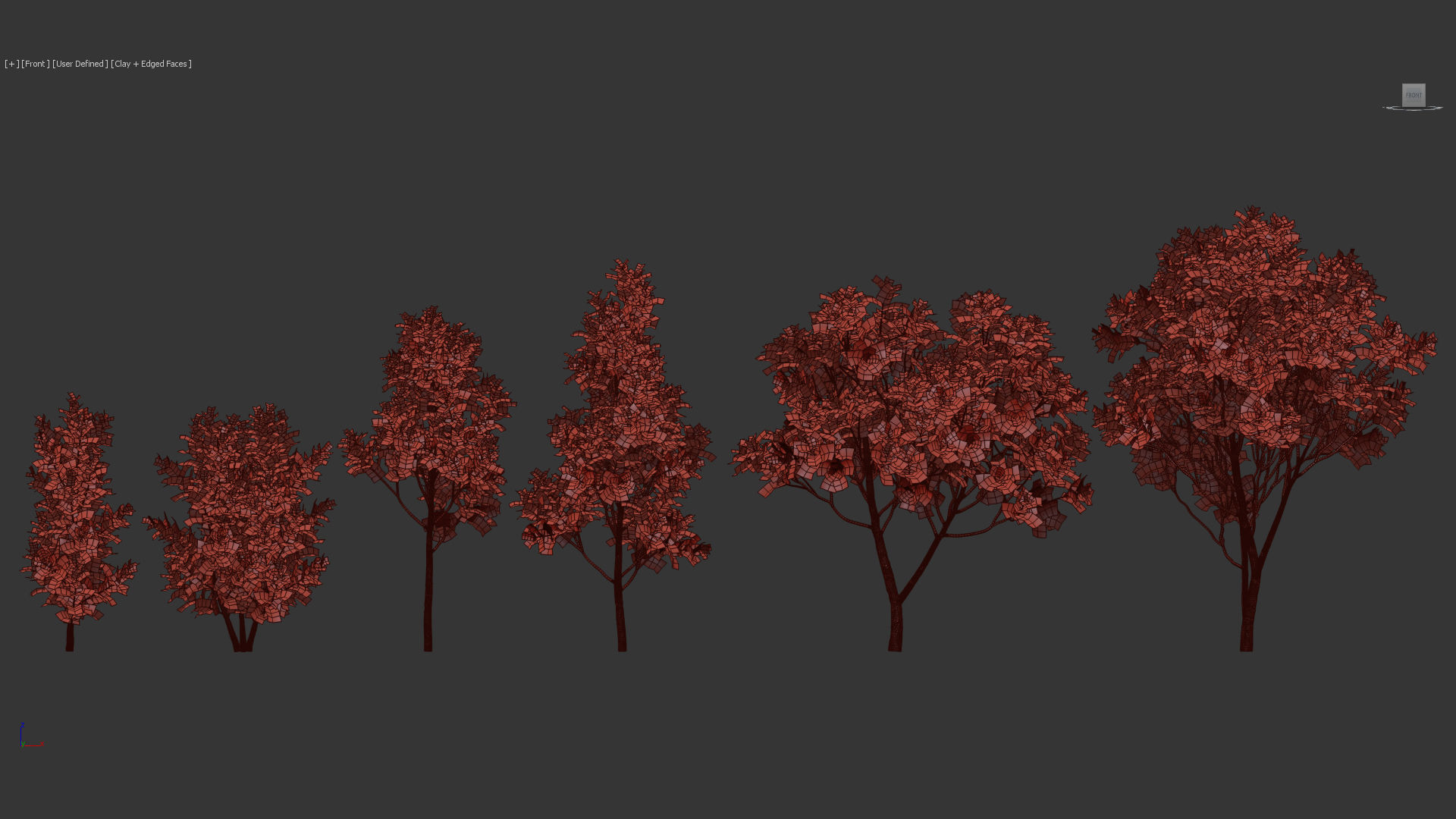 Ficus lyrata Fiddle Leaf Fig 3D model_10