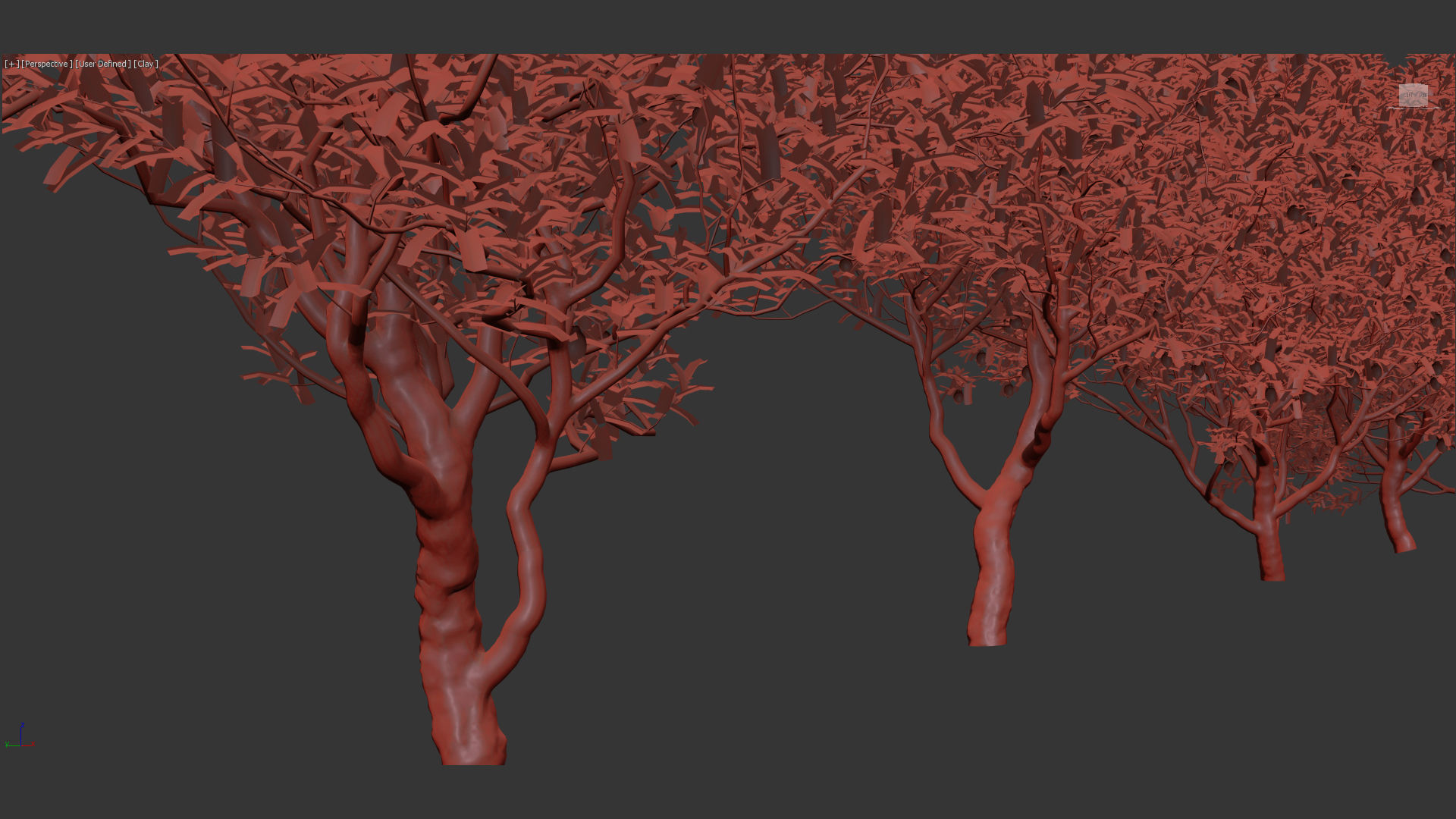 Citrus limon Lemon 3D model_13