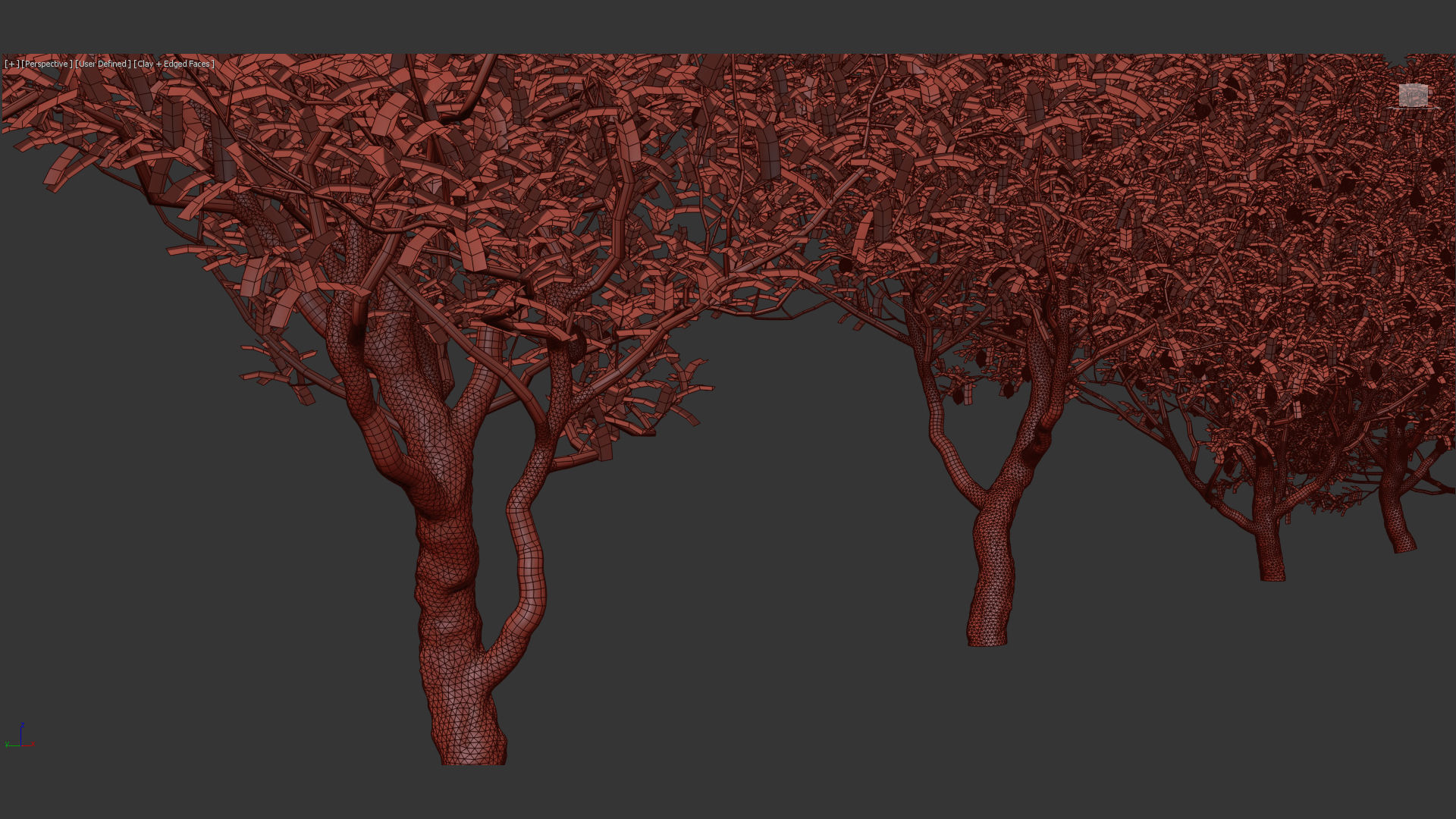 Citrus limon Lemon 3D model_12