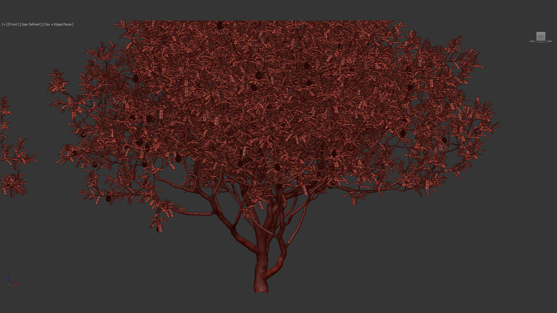 Citrus limon Lemon 3D model_11