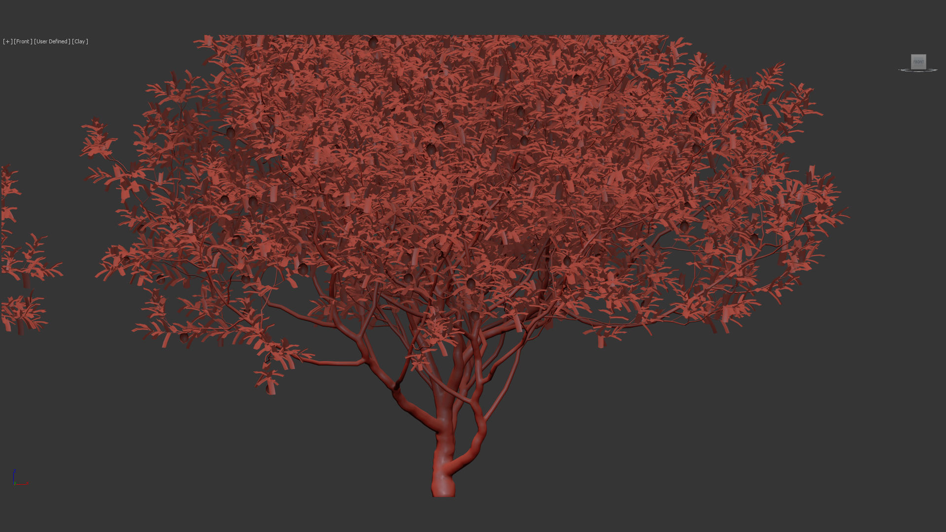 Citrus limon Lemon 3D model_10