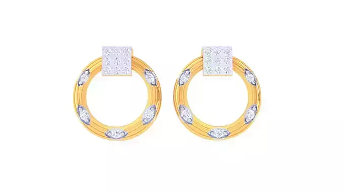 Studs Earrings - 24