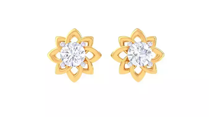 Studs Earrings - 34