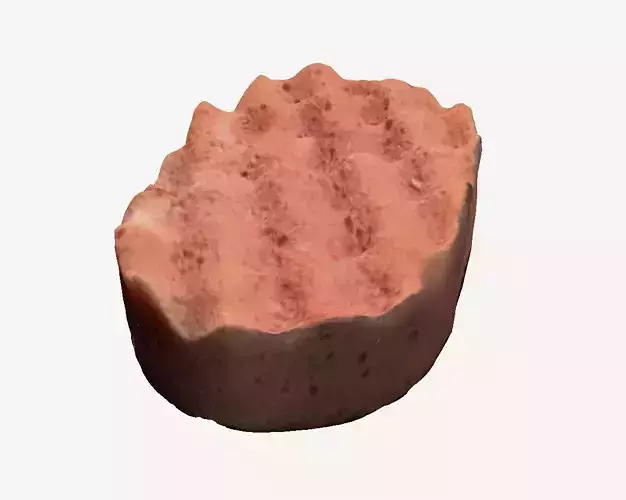 Sponge 3D print model