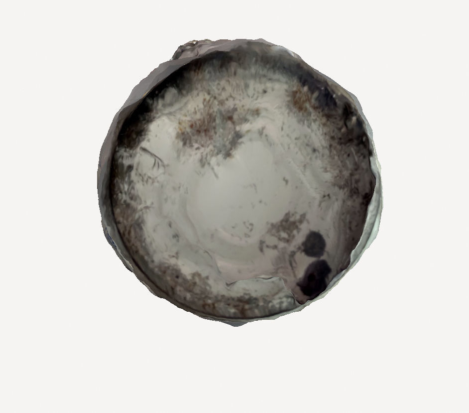 Rusty Bucket 3D print model_1