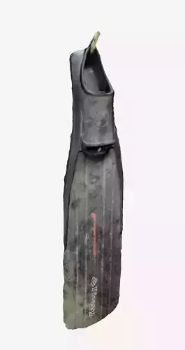 Diving Fin 3D print model