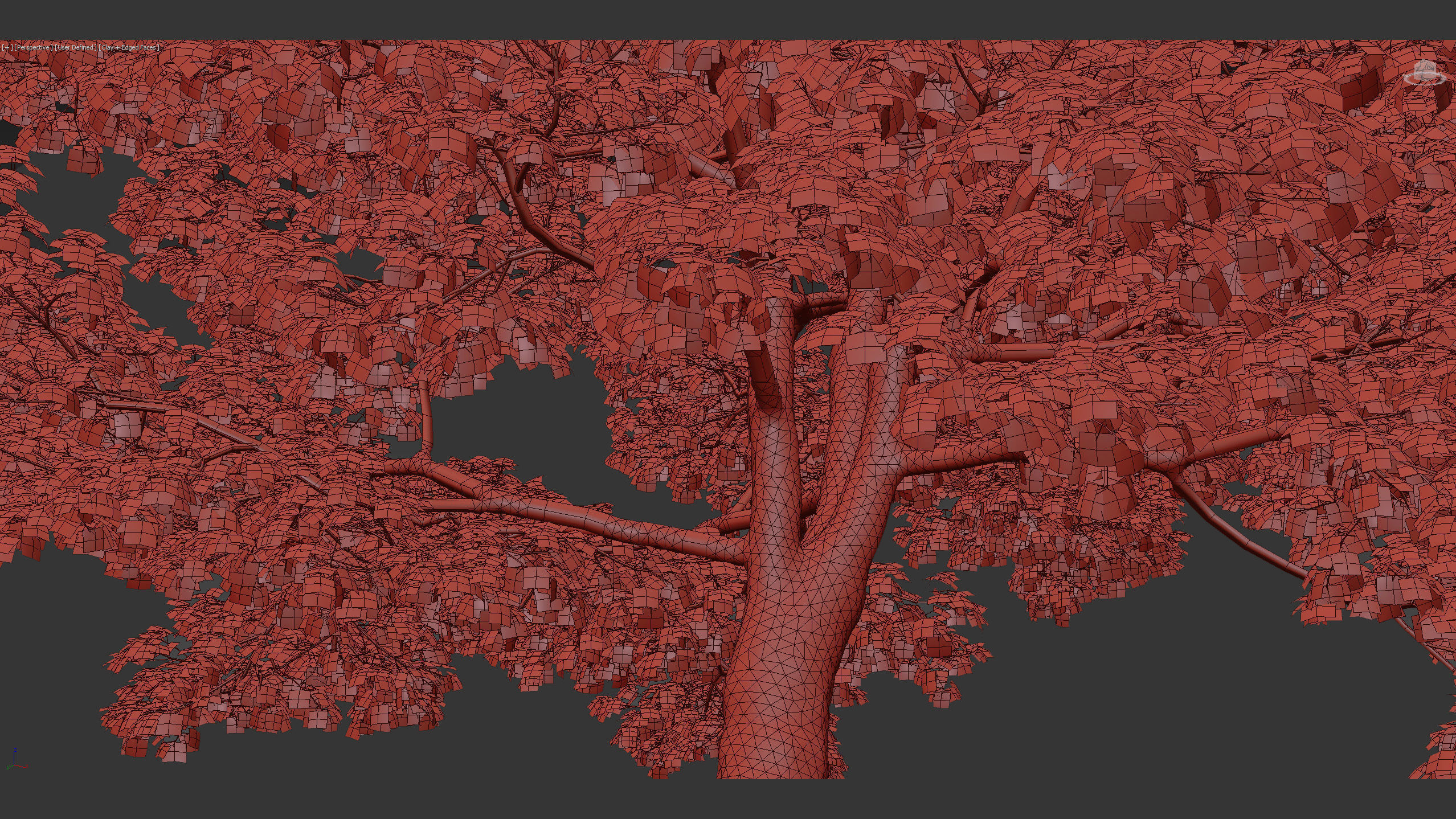 Acer platanoides Norway maple 3D model_10