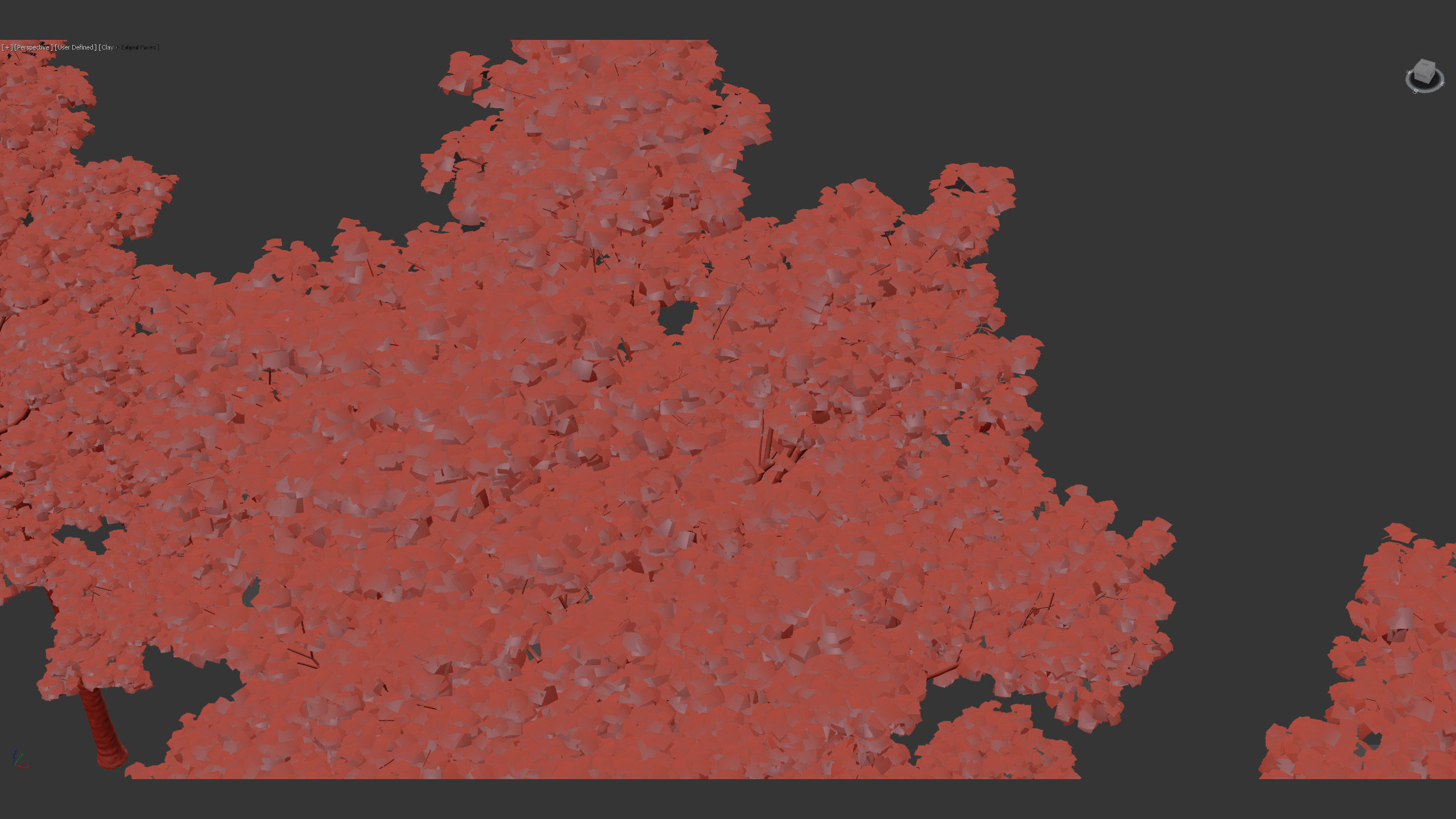 Acer platanoides Norway maple 3D model_11