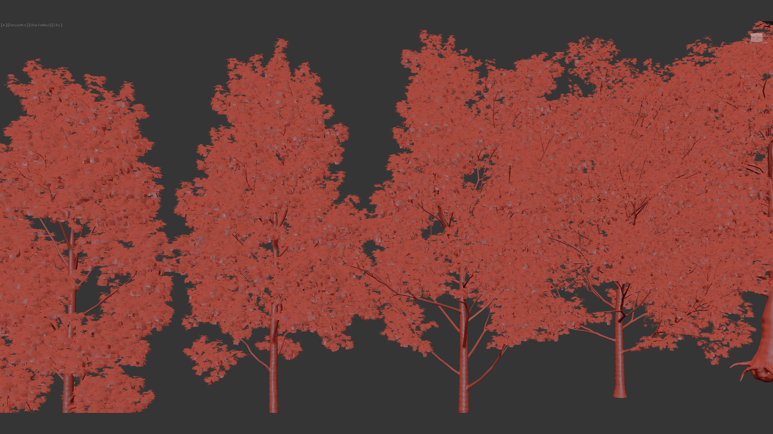 Acer platanoides Norway maple 3D model_7