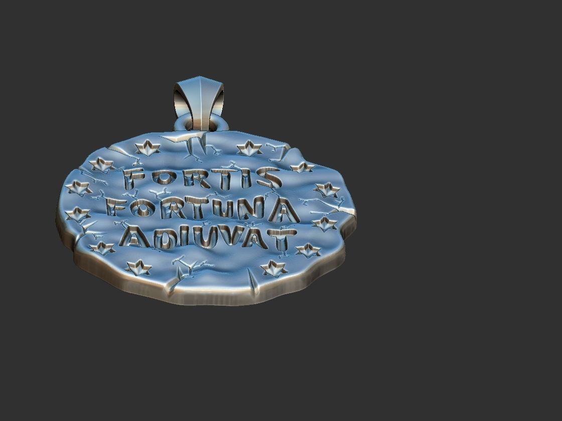 Fortis Fortuna Aduivat - Medal 3D print model_13