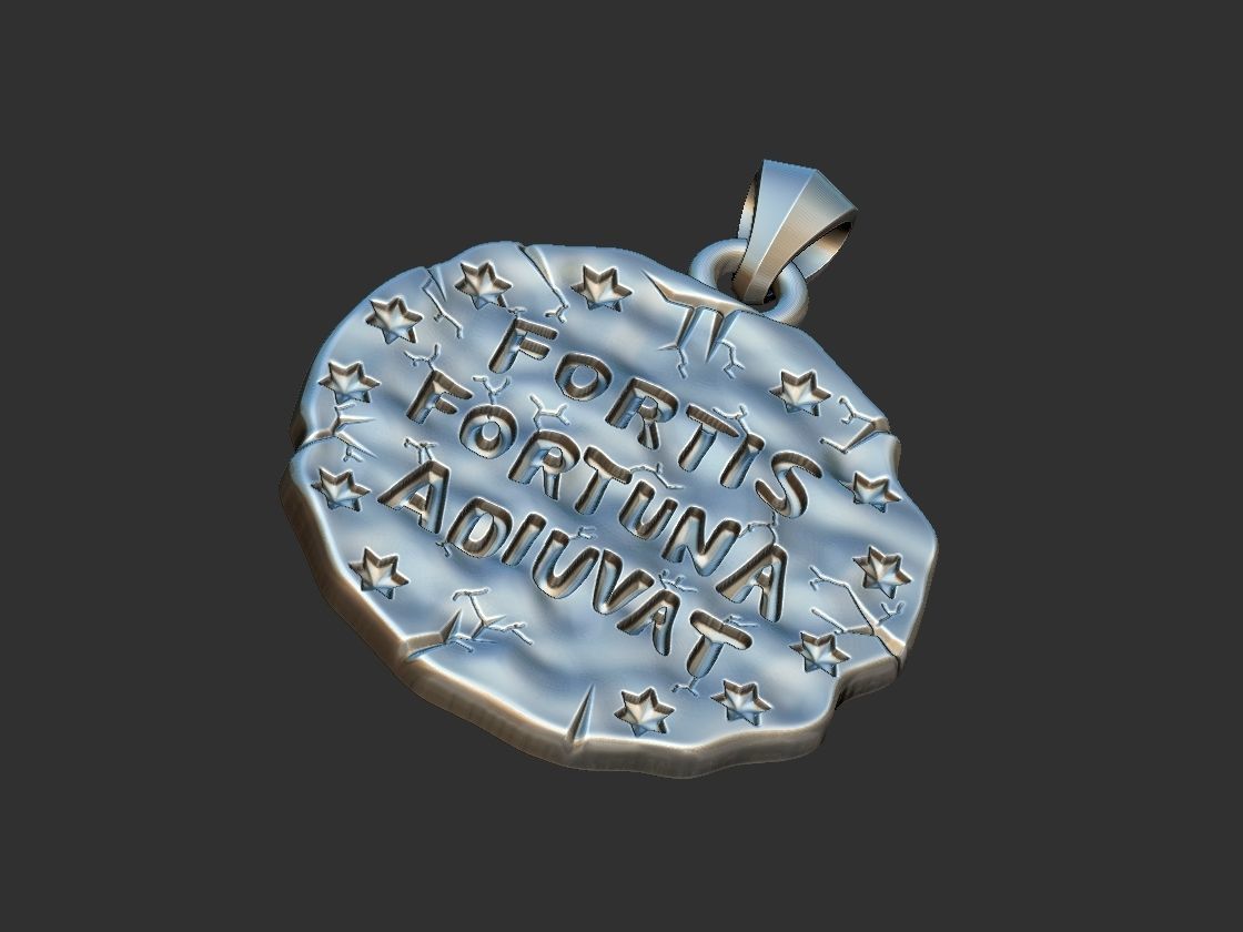 Fortis Fortuna Aduivat - Medal 3D print model_19