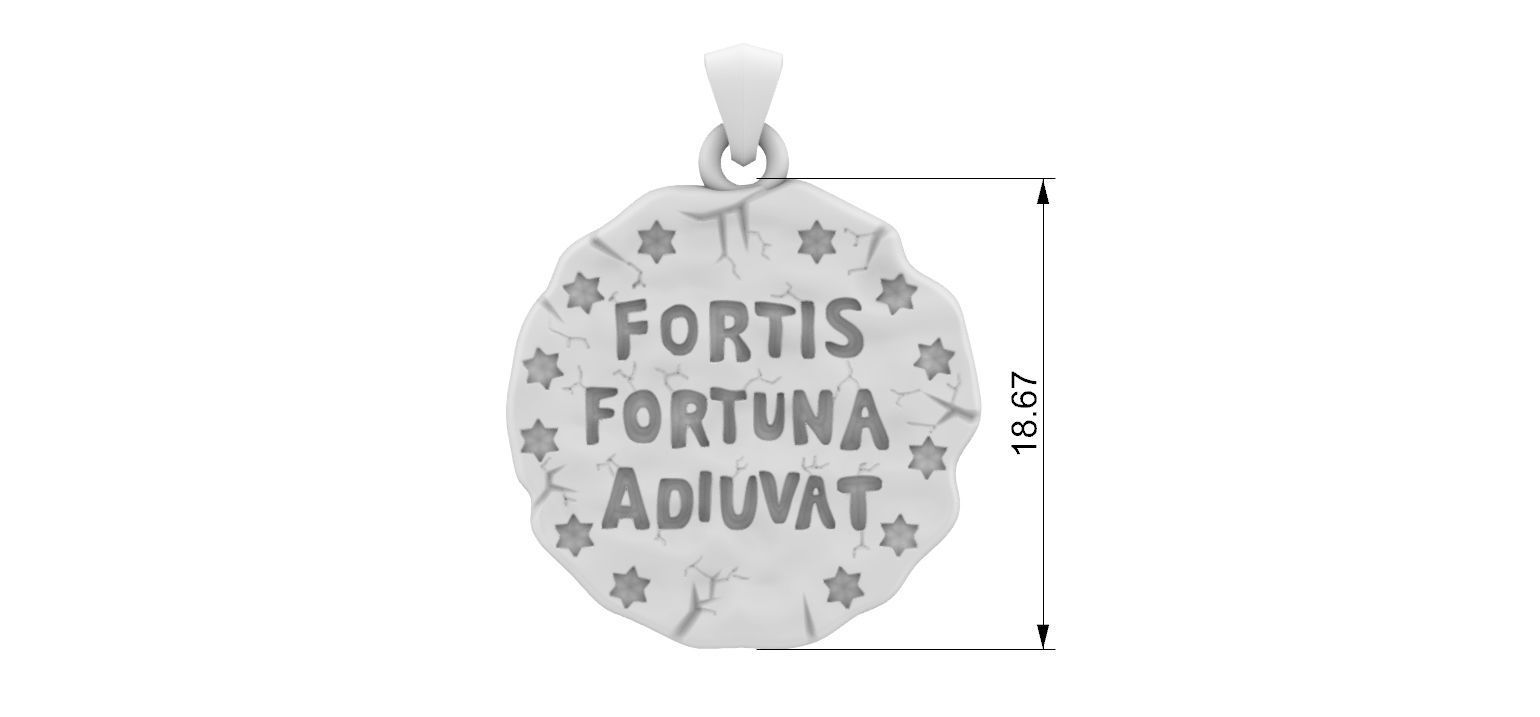 Fortis Fortuna Aduivat - Medal 3D print model_5