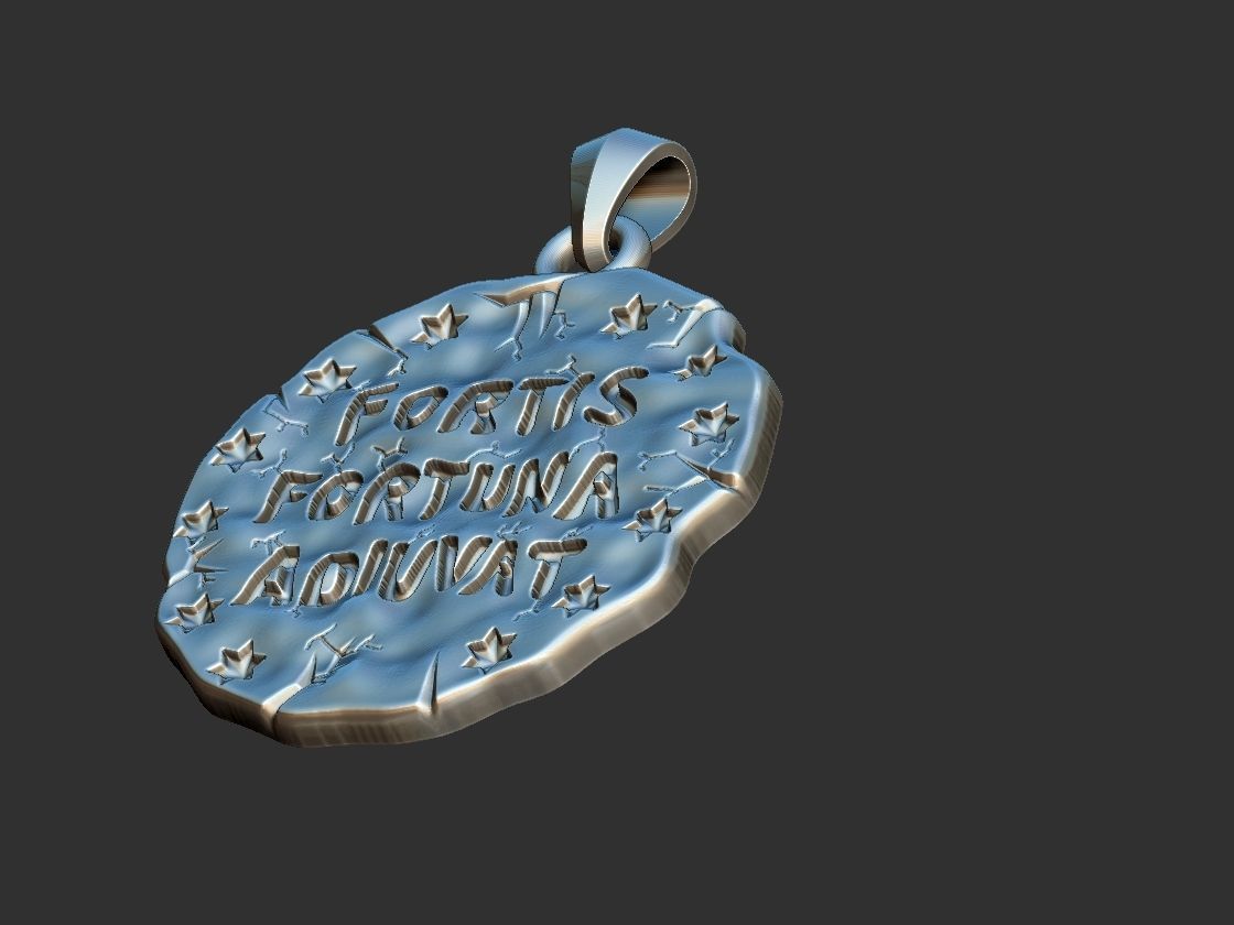 Fortis Fortuna Aduivat - Medal 3D print model_15