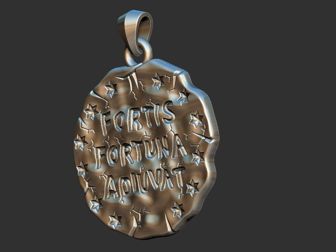 Fortis Fortuna Aduivat - Medal 3D print model_11