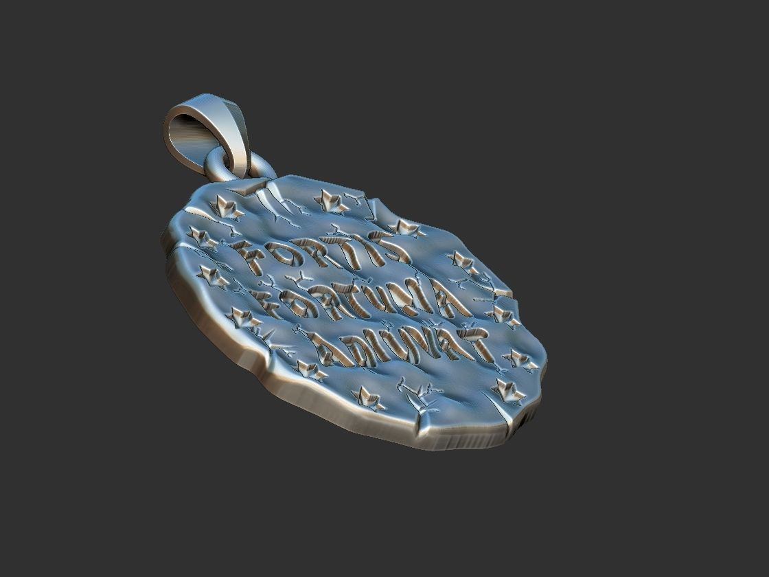 Fortis Fortuna Aduivat - Medal 3D print model_14