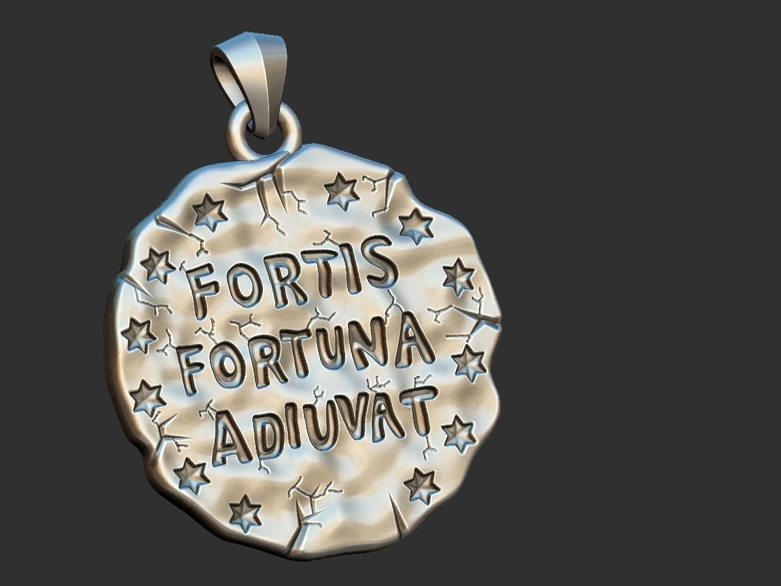 Fortis Fortuna Aduivat - Medal 3D print model_12
