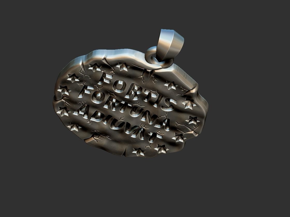 Fortis Fortuna Aduivat - Medal 3D print model_16