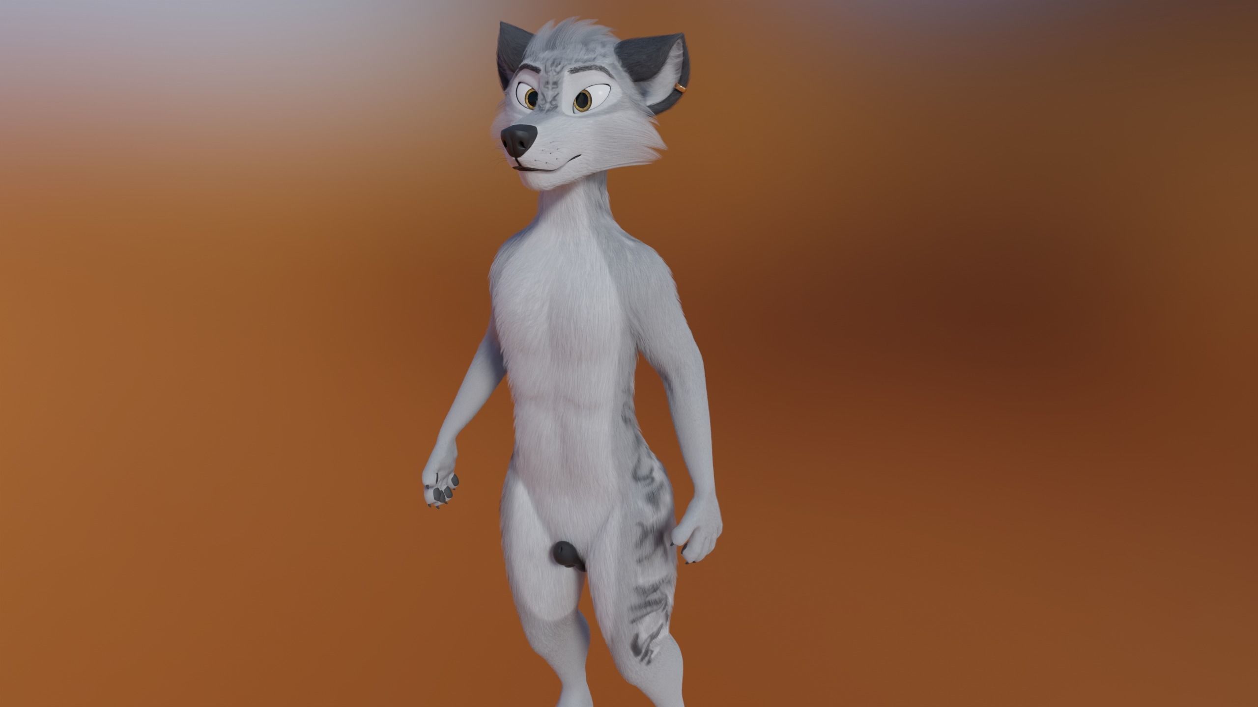 Magnus Anthro Wolf 3D model_24