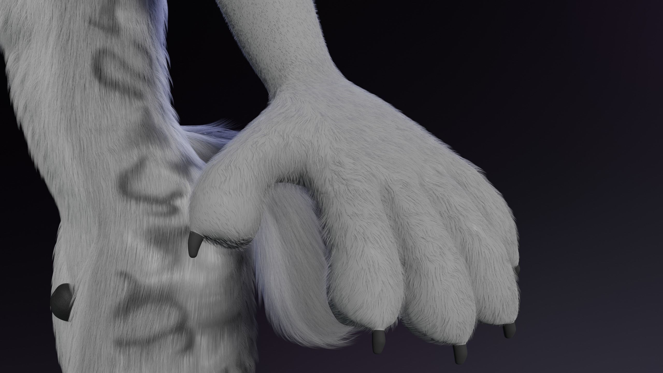 Magnus Anthro Wolf 3D model_12