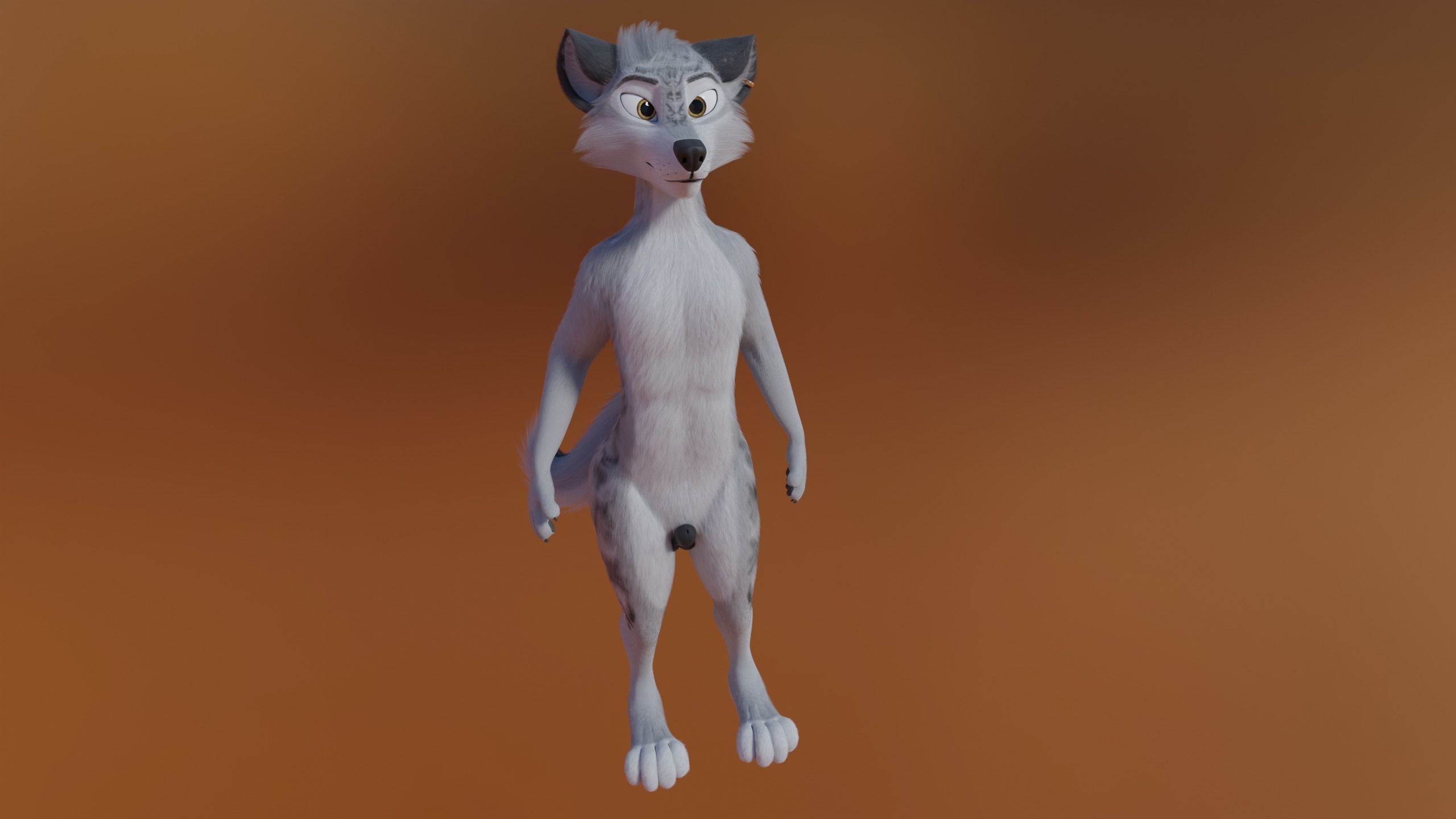 Magnus Anthro Wolf 3D model_22