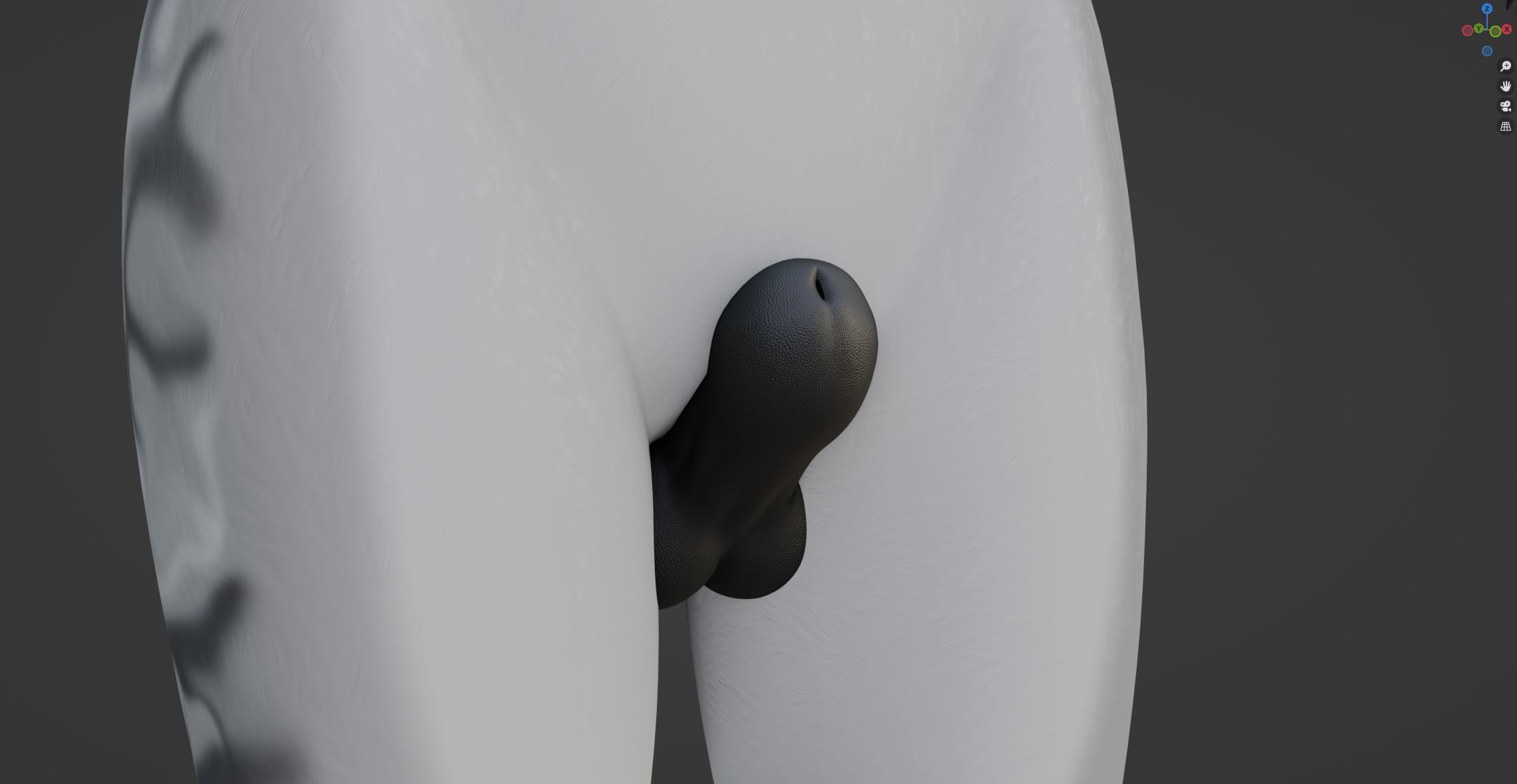 Magnus Anthro Wolf 3D model_64